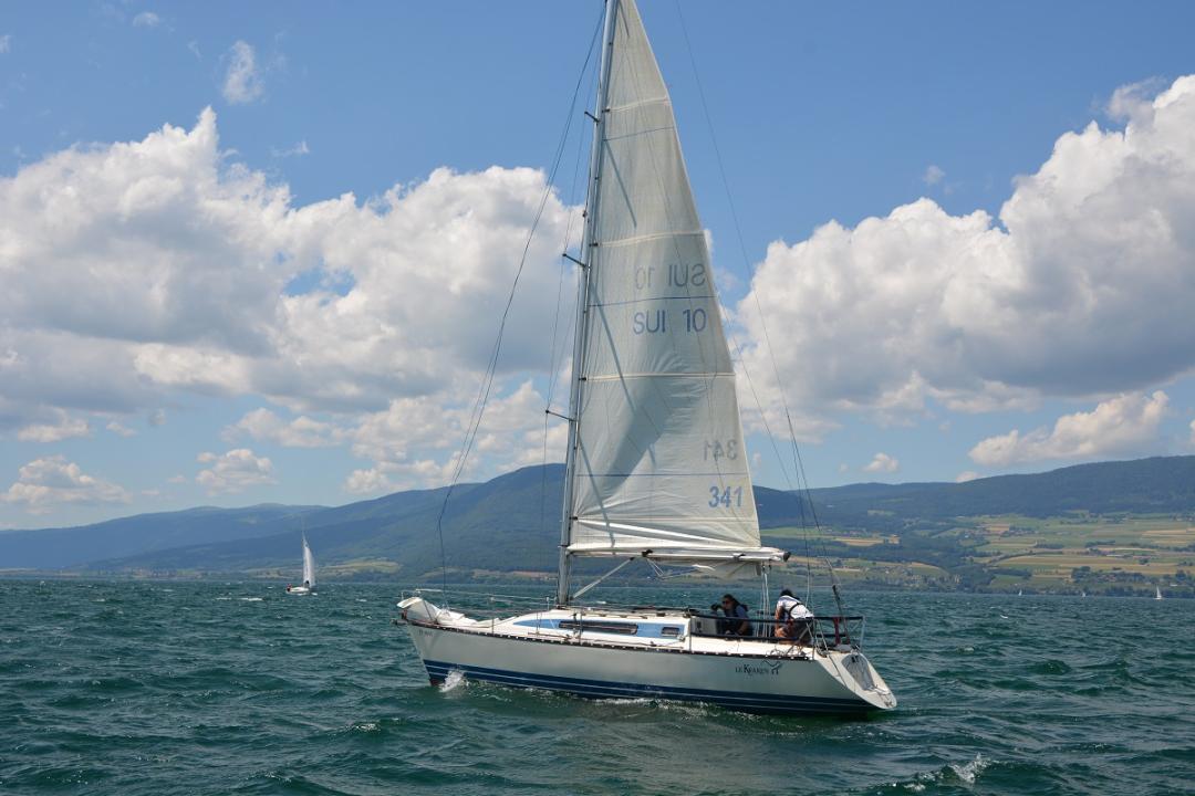 DSC 7354 - Copie