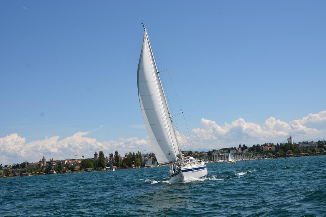 DSC 7424 - Copie