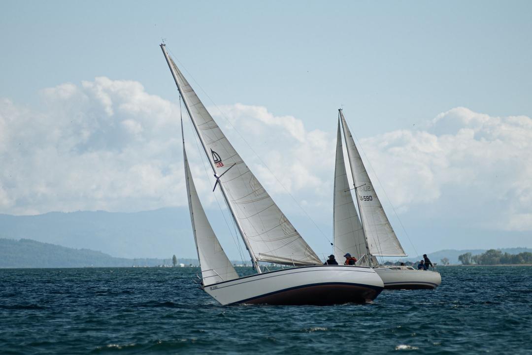 100 Milles  Joao (145)