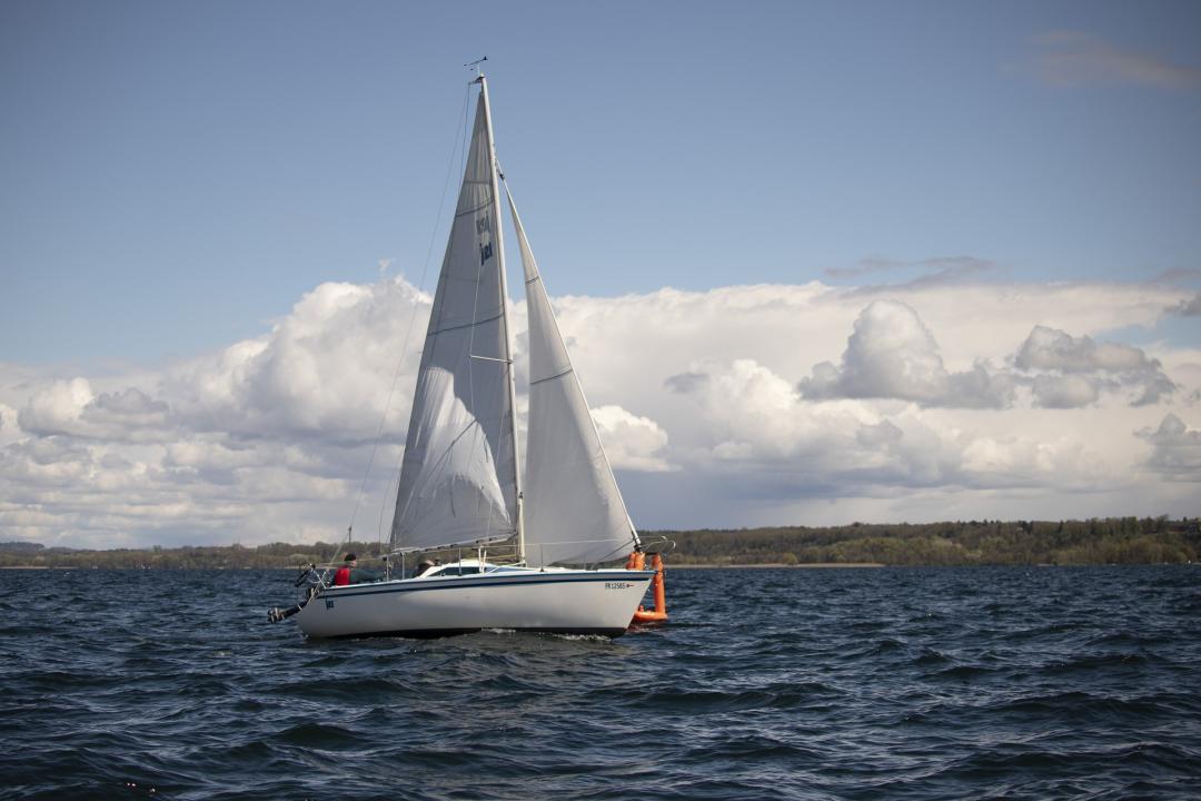regatedo-32