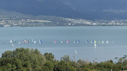IMG 7360