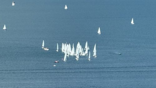 IMG 7371