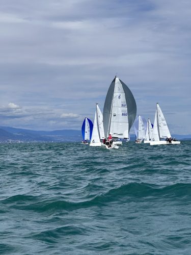 IMG 0635