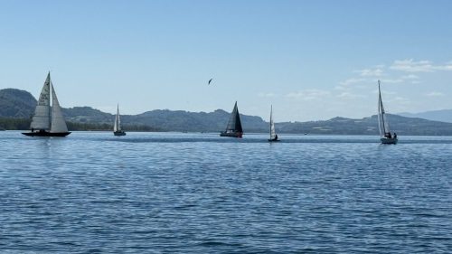 Regate-ouverture-2026-019