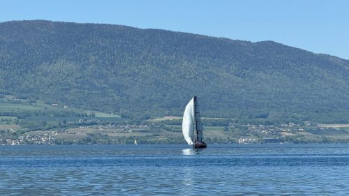 Regate-ouverture-2026-059